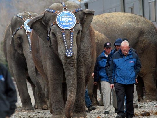 Cincinnati bans exotic animals in circuses