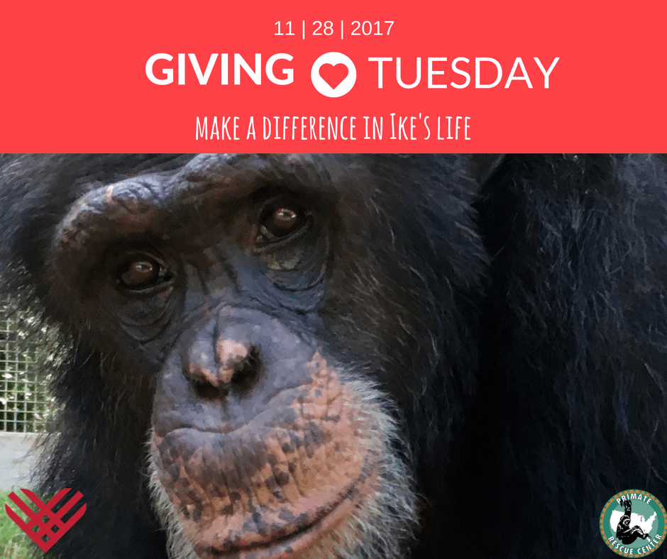 The Season for Giving…to Primates!