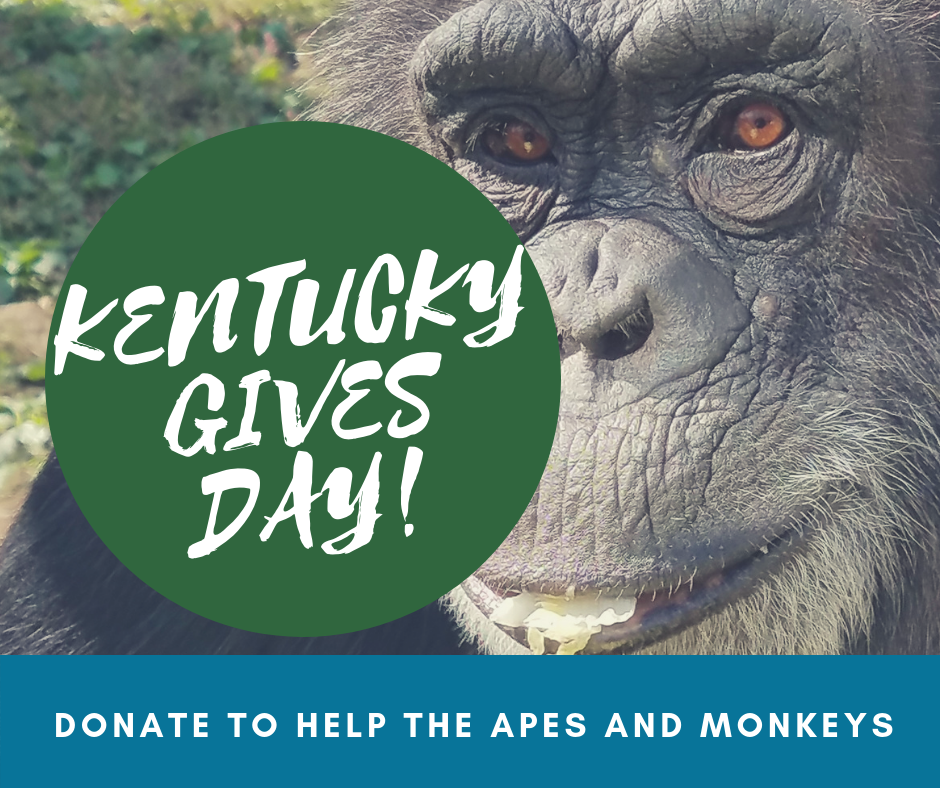 Give Big on Kentucky Gives Day!