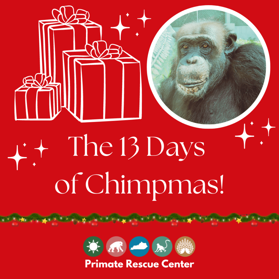 Primate Rescue Center Kentucky, USA