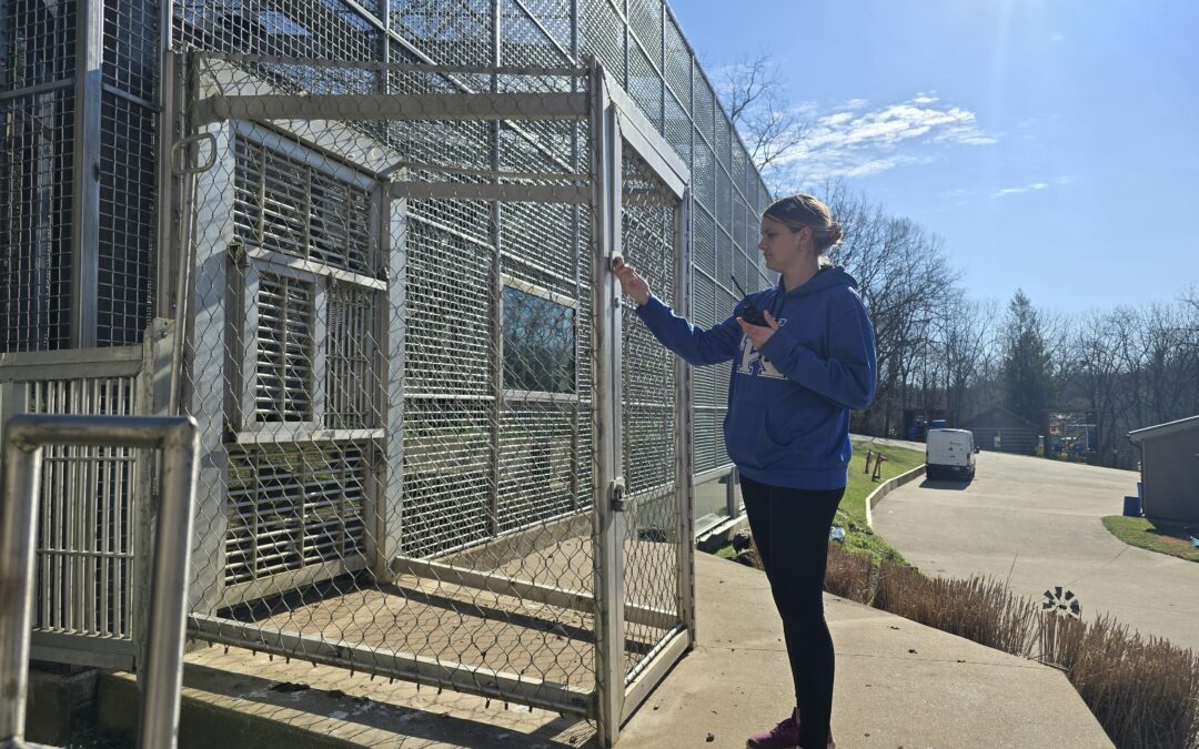 Chimp-proof and Caregiver-Safe: Sanctuary Security in Action
