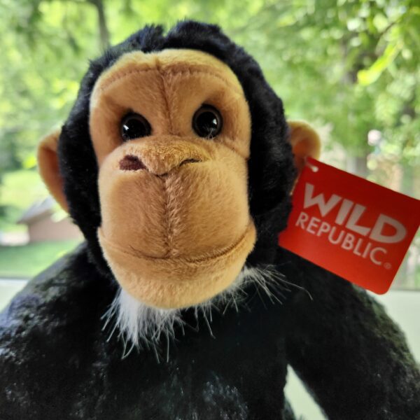 Chimpanzee Plush Toy (12") - Image 2