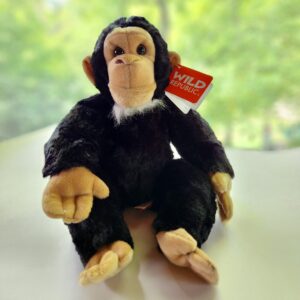 Chimpanzee Plush Toy (12")