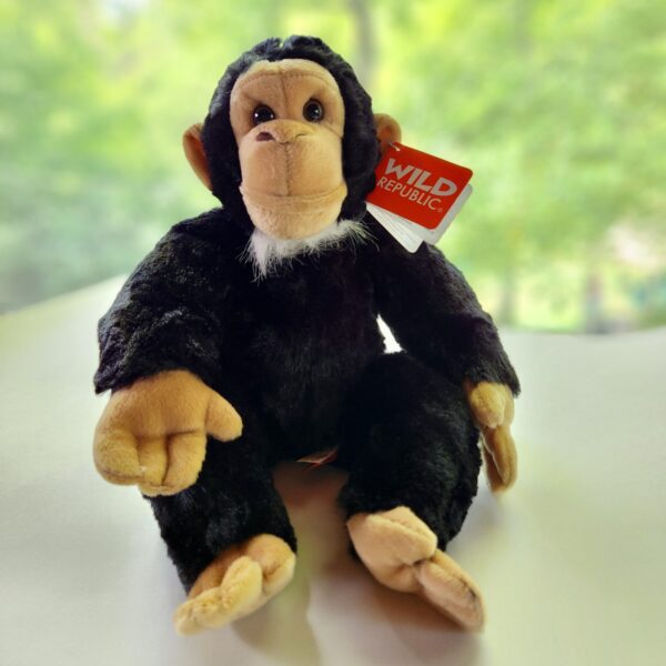 Chimpanzee Plush Toy (12")