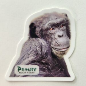 Jenny Chimpanzee Die-Cut Sticker