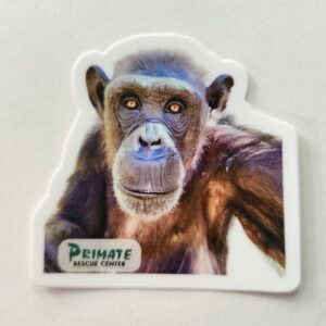 Noelle Chimpanzee Die-Cut Sticker