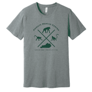 PRC T-Shirt — X Logo — Grey and Green