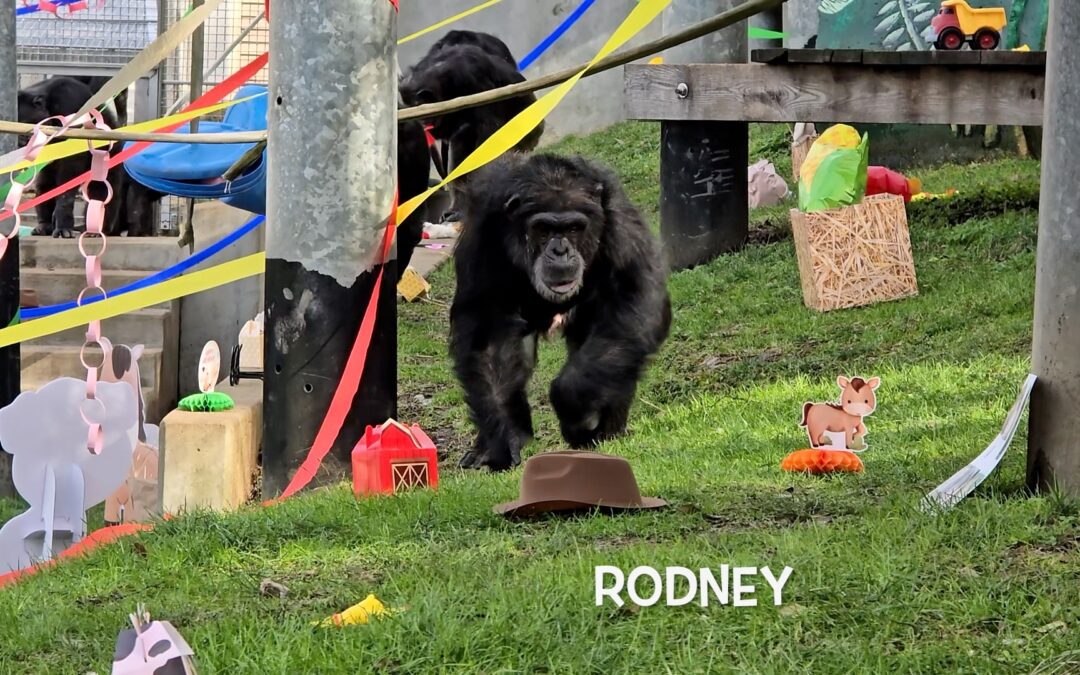 Noelle’s and Rodney’s 31st Birthday Party