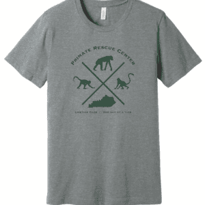 PRC T-Shirt - X Logo - Grey with Green