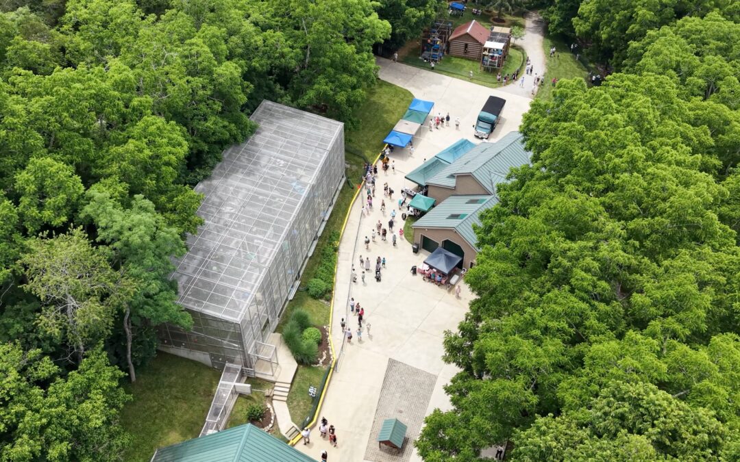 Member Event 2026 – A Bird’s-Eye View