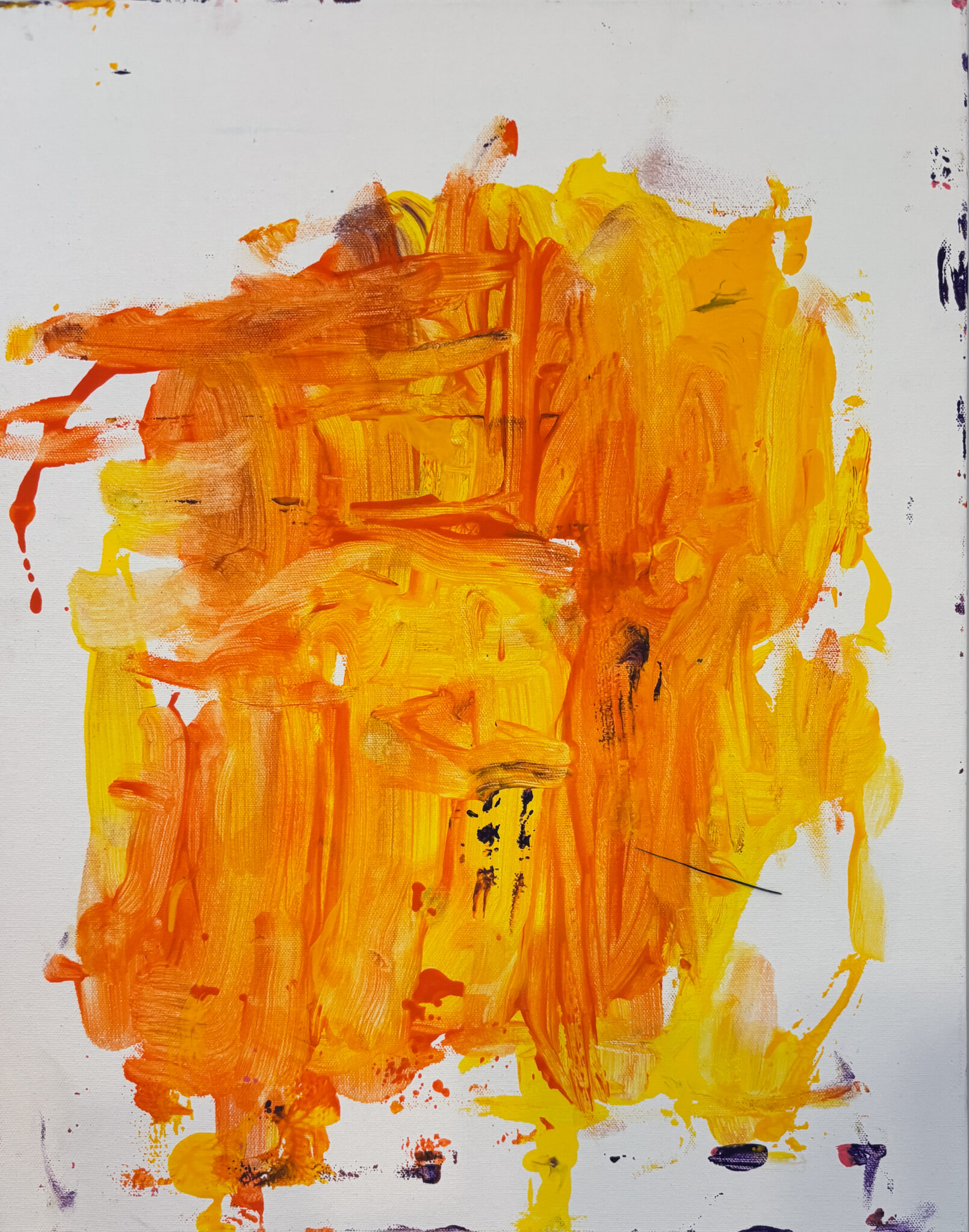 Untitled – Scott Ingram + Martina - Image 2